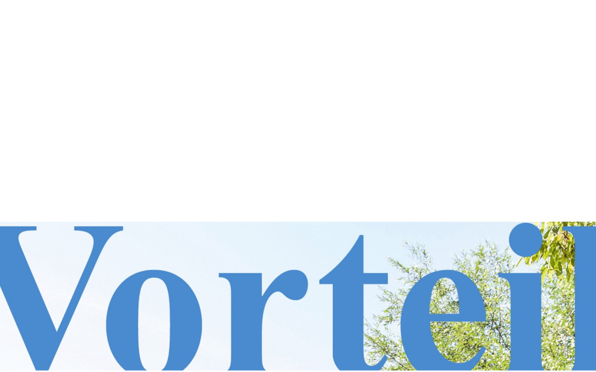 Vorteil